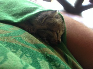 Sugar Beach in Sipalay-015